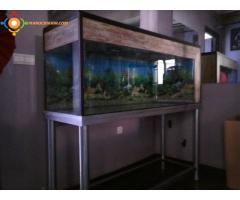 Aquarium 150x50x60ht
